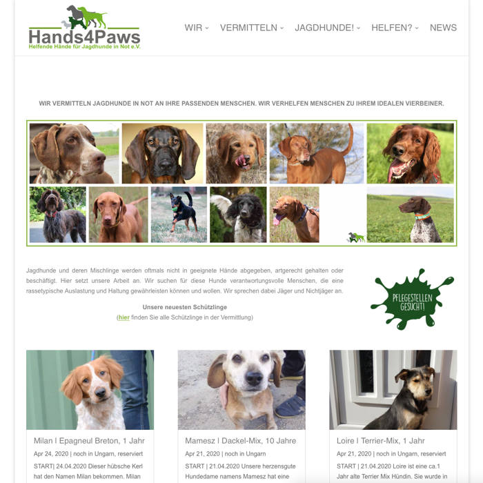 Screenshot der Vereins-Webseite von Hands4Paws